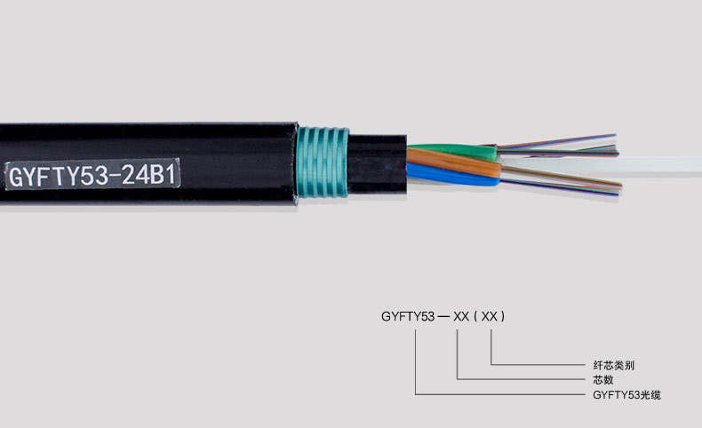 GYFTY53-2019-08-02_10.jpg