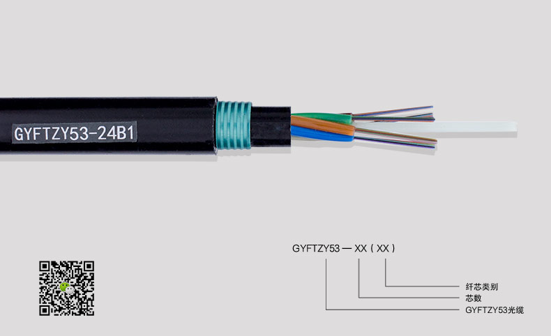 GYFTZY53-2019-08-19_10.jpg