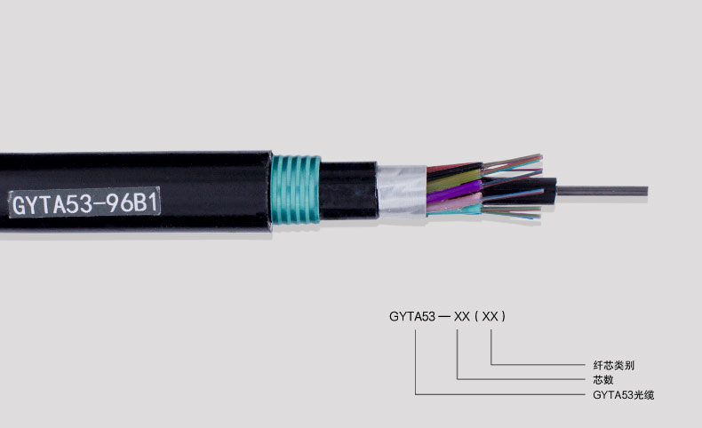 GYTA53-2019-08-06_10.jpg