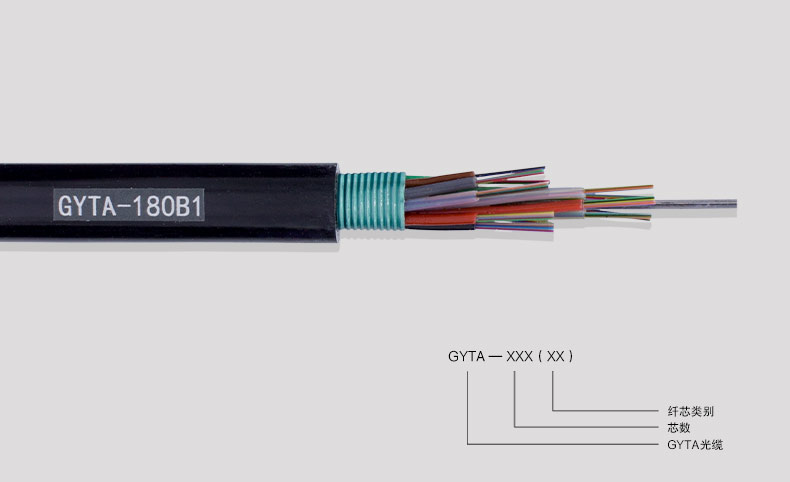 GYTA-2019-08-02_01_10.jpg