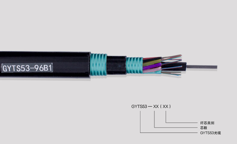 GYTS53-2019-08-13_10.jpg